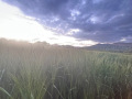 IMG_3771-Large