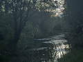 IMG_3781-Large